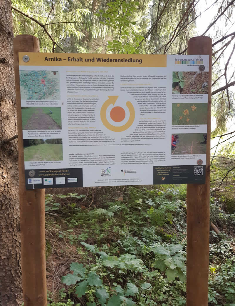Ein Infoschild im Rehauer Forst zur Arnika, ihrem Erhalt und der Wiederansiedelung