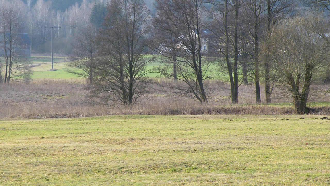 Wiesenbrütergebiet Bobengrün
