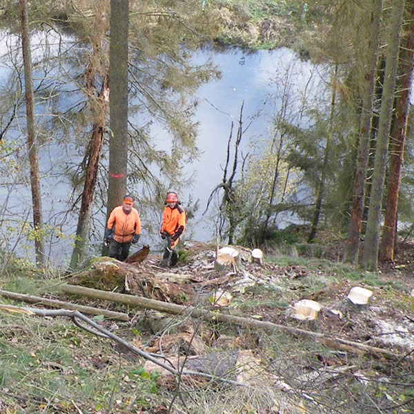 Freistellen von Felsen