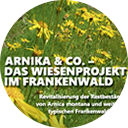Arnika & Co. – das Wiesenprojekt im Frankenwald