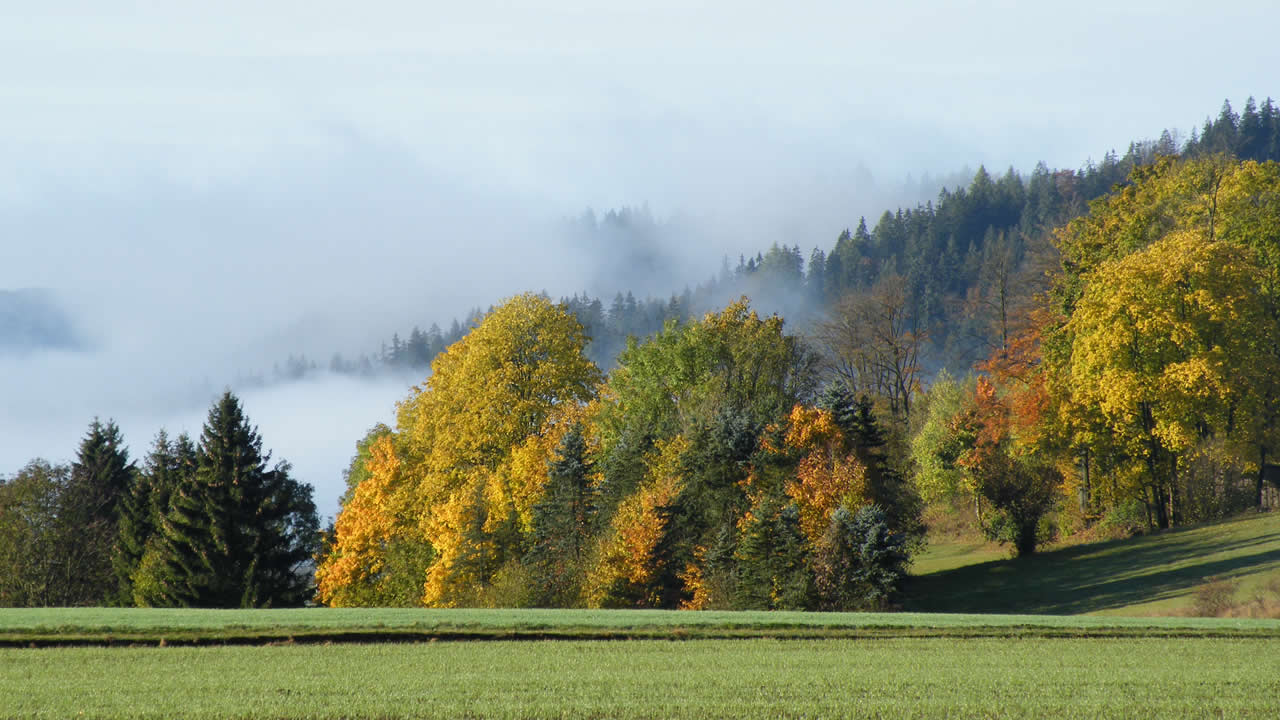 Herbst im Frankenwald