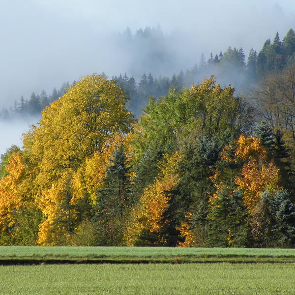 Herbst im Frankenwald