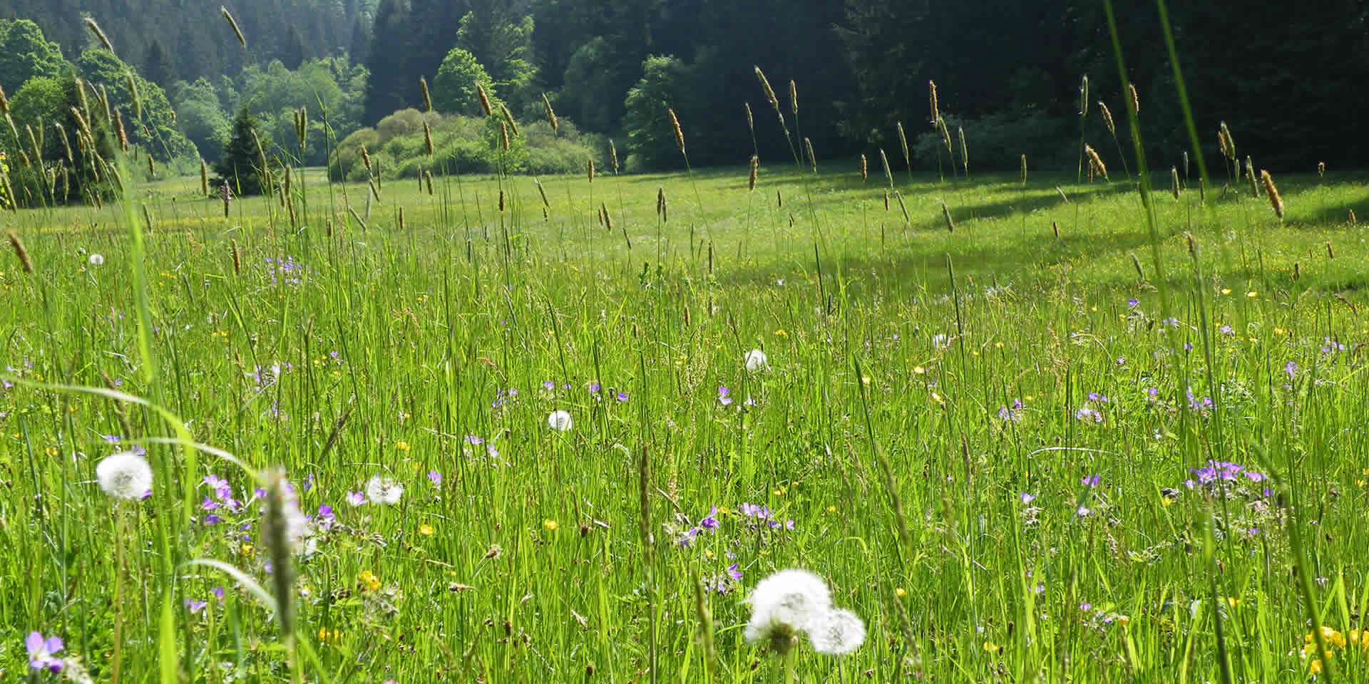 Langenautal