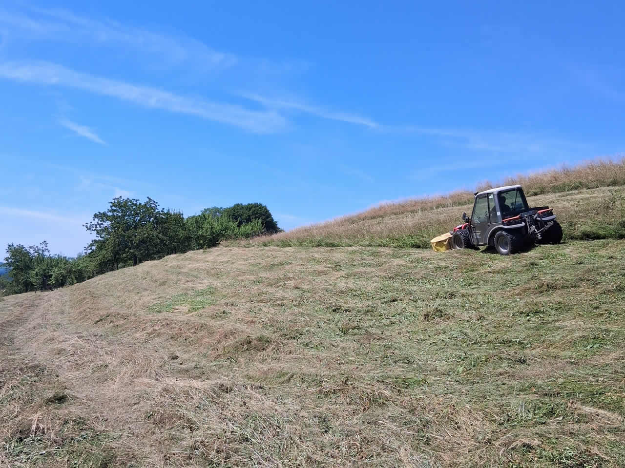 Der Großteil des großen Wiesenhangs wird mit einem kleinen Mähtraktor gemäht, zwischen den Obstbäumen arbeiten die Landschaftspfleger mit Motorsensen.