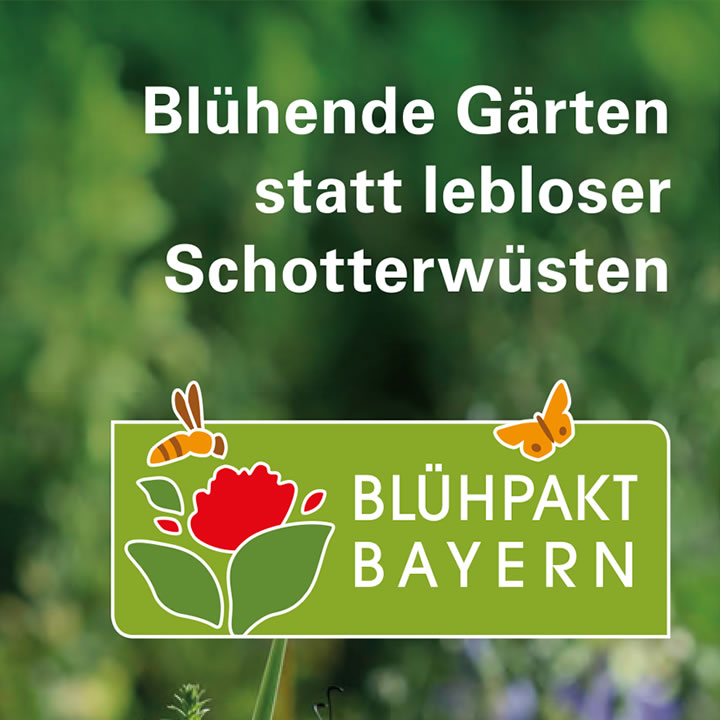 Landschaften im Original ohne deren Bäume und Sträucher